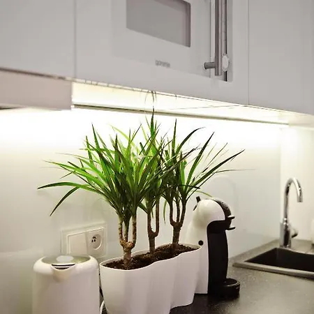 Lägenhet Apartament Centrum Hga - Wierzbowa *